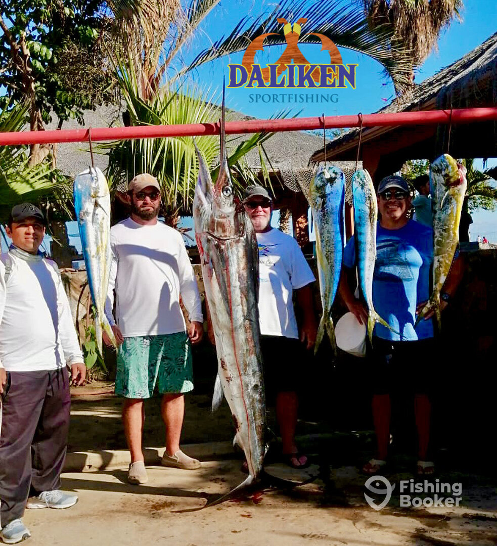 San Jose del Cabo Report Photo 0
