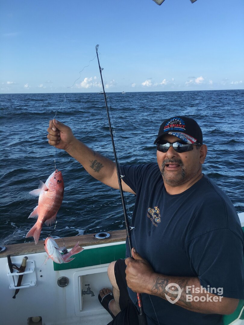 Double snapper