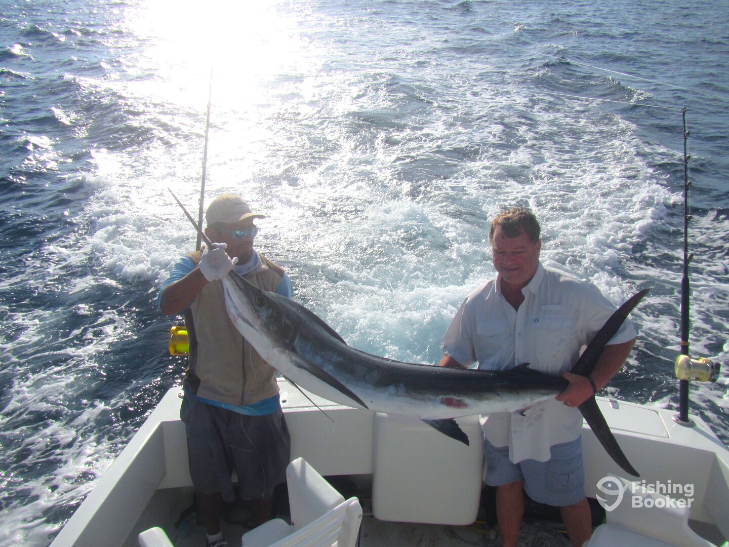 Cabo San Lucas Report Photo 0
