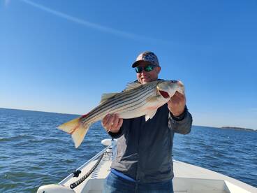 November is off to a great start