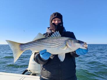 Dameron Report Photo 2