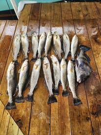 Three man limit this morning!