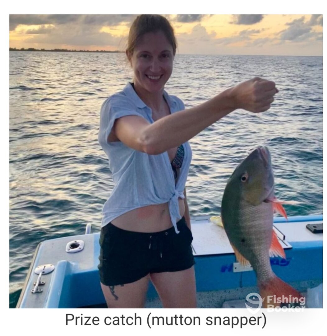 Lovely catch Reef Fishing trip