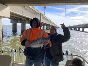 New Orleans Report Photo 1