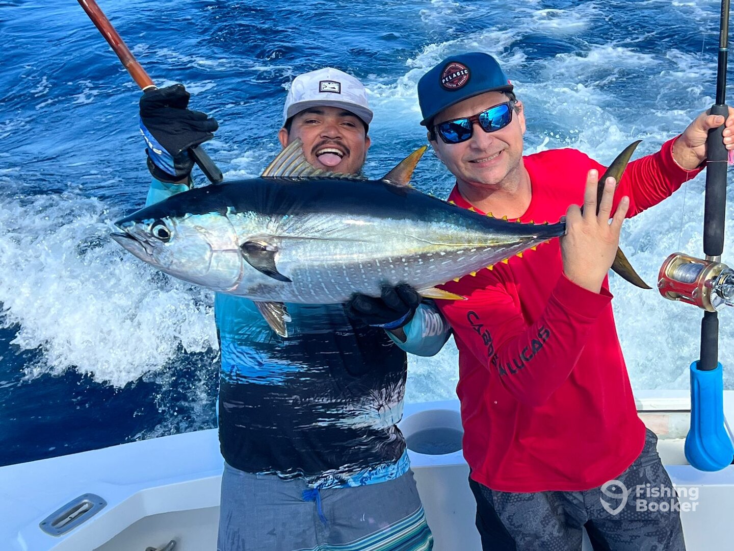 Cabo San Lucas Report Photo 0