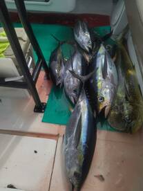 Herradura Report Photo 1