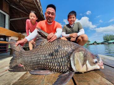 Big Carp ! Big Fish ! Siamese Carp and M