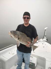 Nice Big Drum - Here Fishy Fishy!