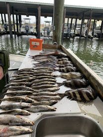 New Orleans Report Photo 2