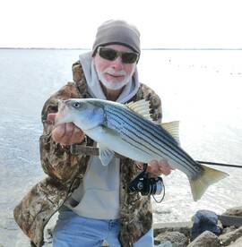 Chincoteague Report Photo 1