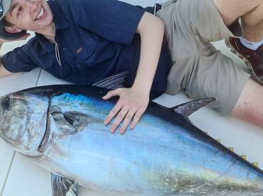 Big blue fin Tuna