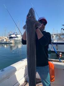 Deep bottom up to 300m