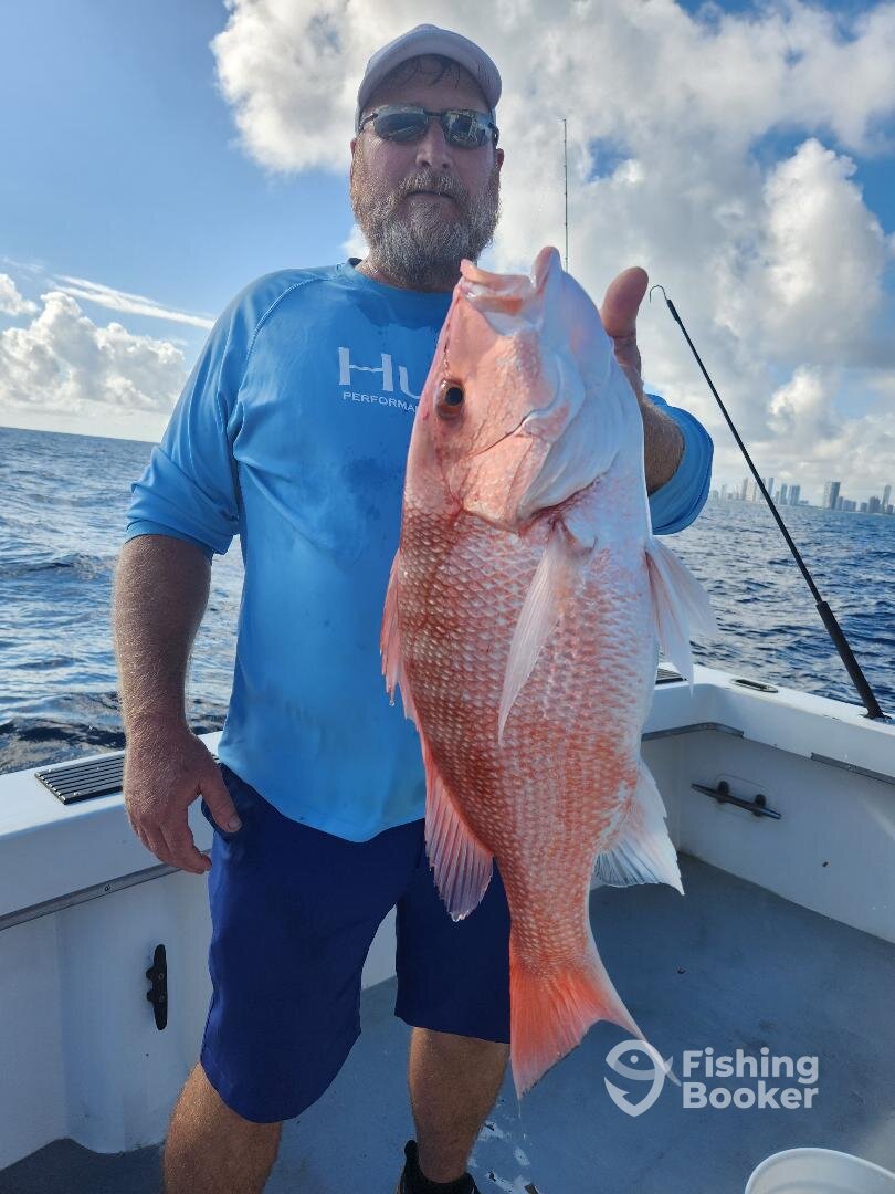 Dania Beach Report Photo 0