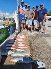 Dania Beach Report Photo 2