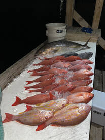 Orange Beach Report Photo 2