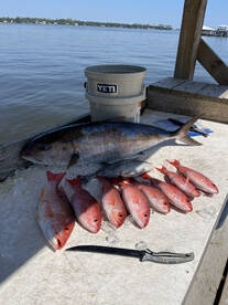 Orange Beach Report Photo 2