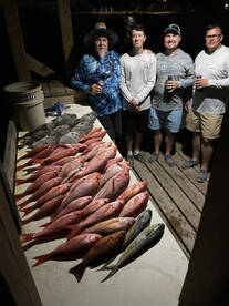 Orange Beach Report Photo 2