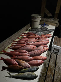 Orange Beach Report Photo 1