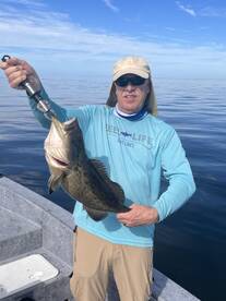 Crystal River Report Photo 1