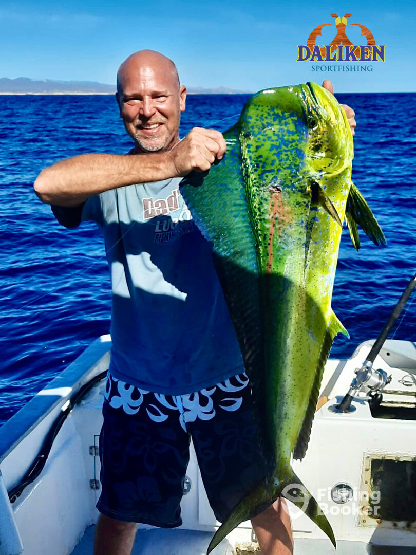 San Jose del Cabo Report Photo 0