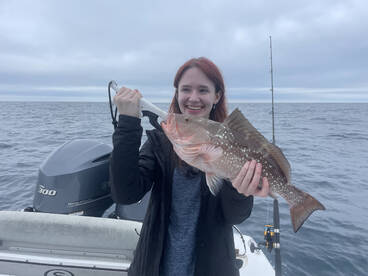 Thanksgiving weekend update