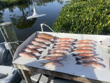 Nokomis Report Photo 2