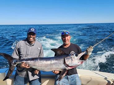 Deep Drop Fishing 