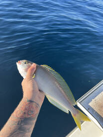 San Diego Report Photo 1