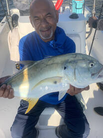 Sarasota Report Photo 1