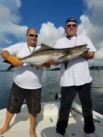35lb cobia
