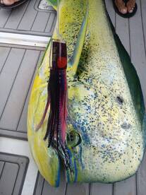 Herradura Report Photo 2