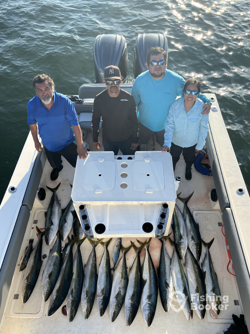 Limits of Yellowtail