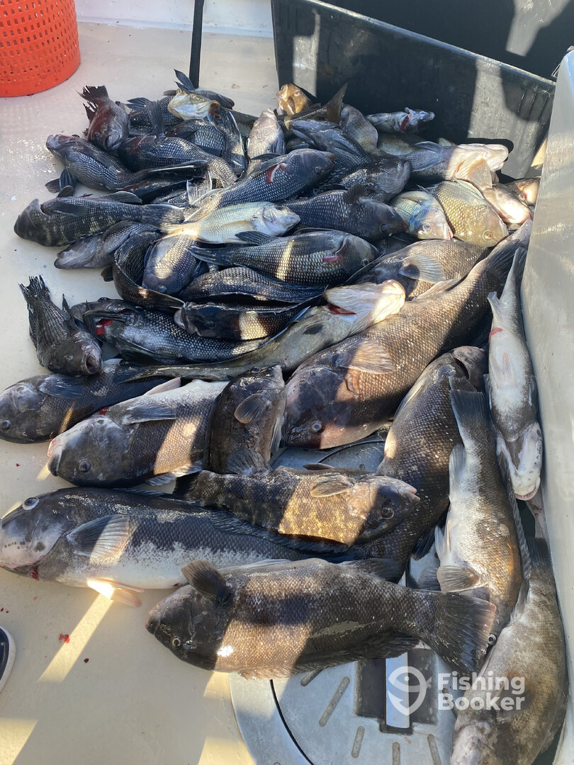 Montauk Report Photo 0