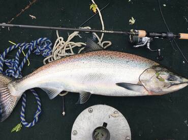Oak Creek Report Photo 2