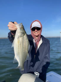 Fun morning Striped Bass and Hybrids on 