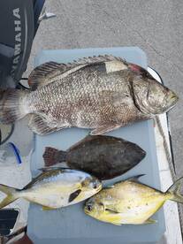 Port Canaveral Report Photo 1