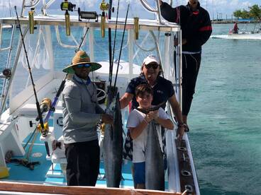 Dominicus Report Photo 1