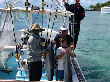 Dominicus Report Photo 2