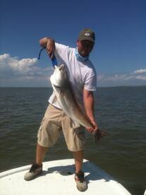 Bull red run!