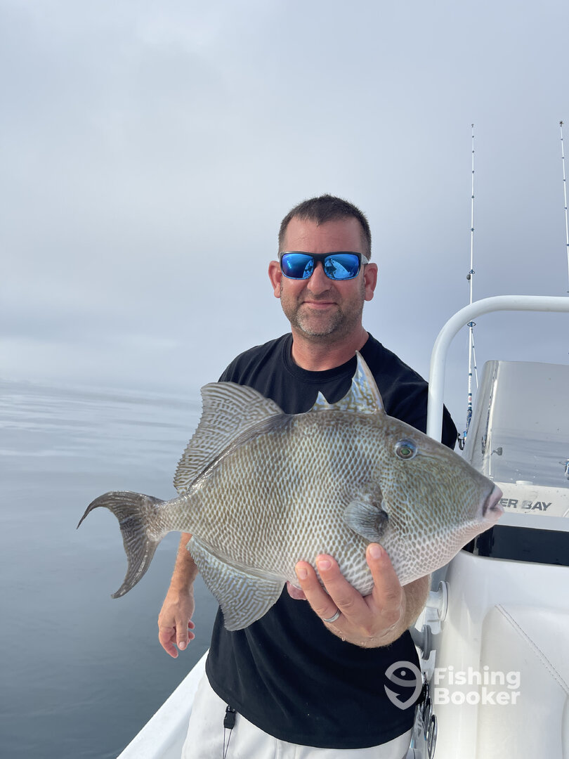 Orange Beach Report Photo 0