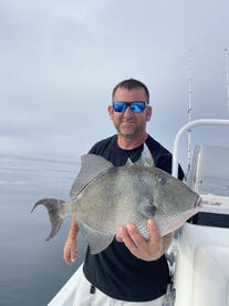 Foggy Morning Fishing