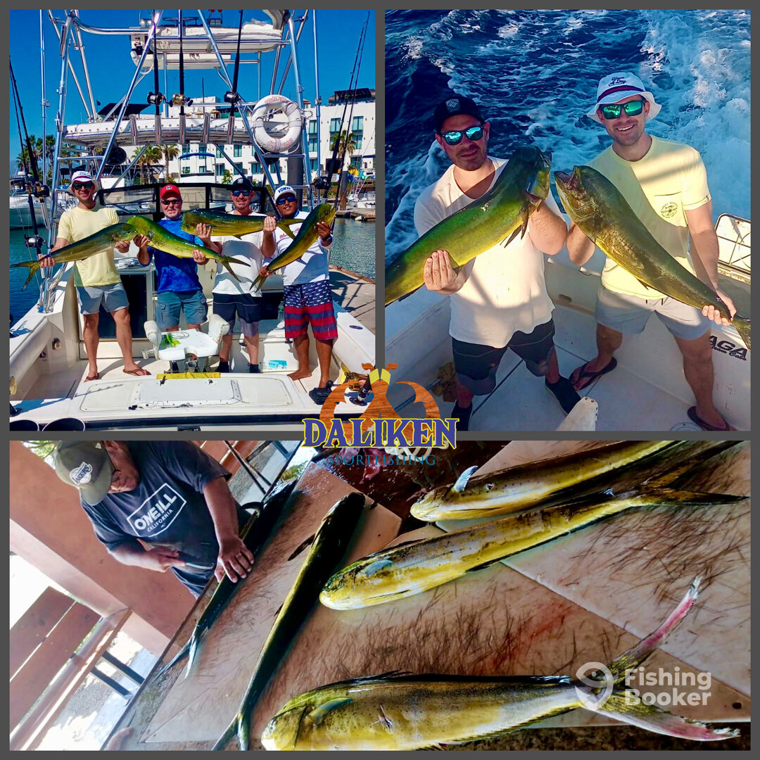 San Jose del Cabo Report Photo 0