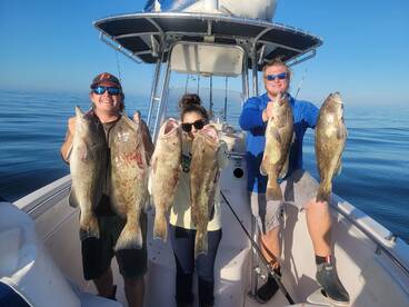 Clearwater Report Photo 2