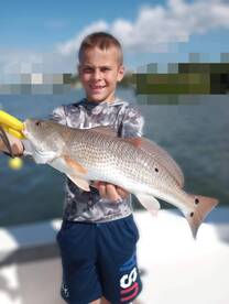 Belleair Bluffs Report Photo 1