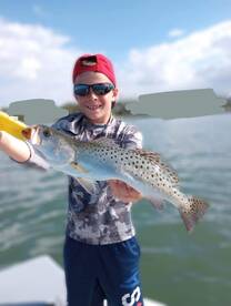 Belleair Bluffs Report Photo 2