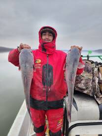 Another great day catching blue cats