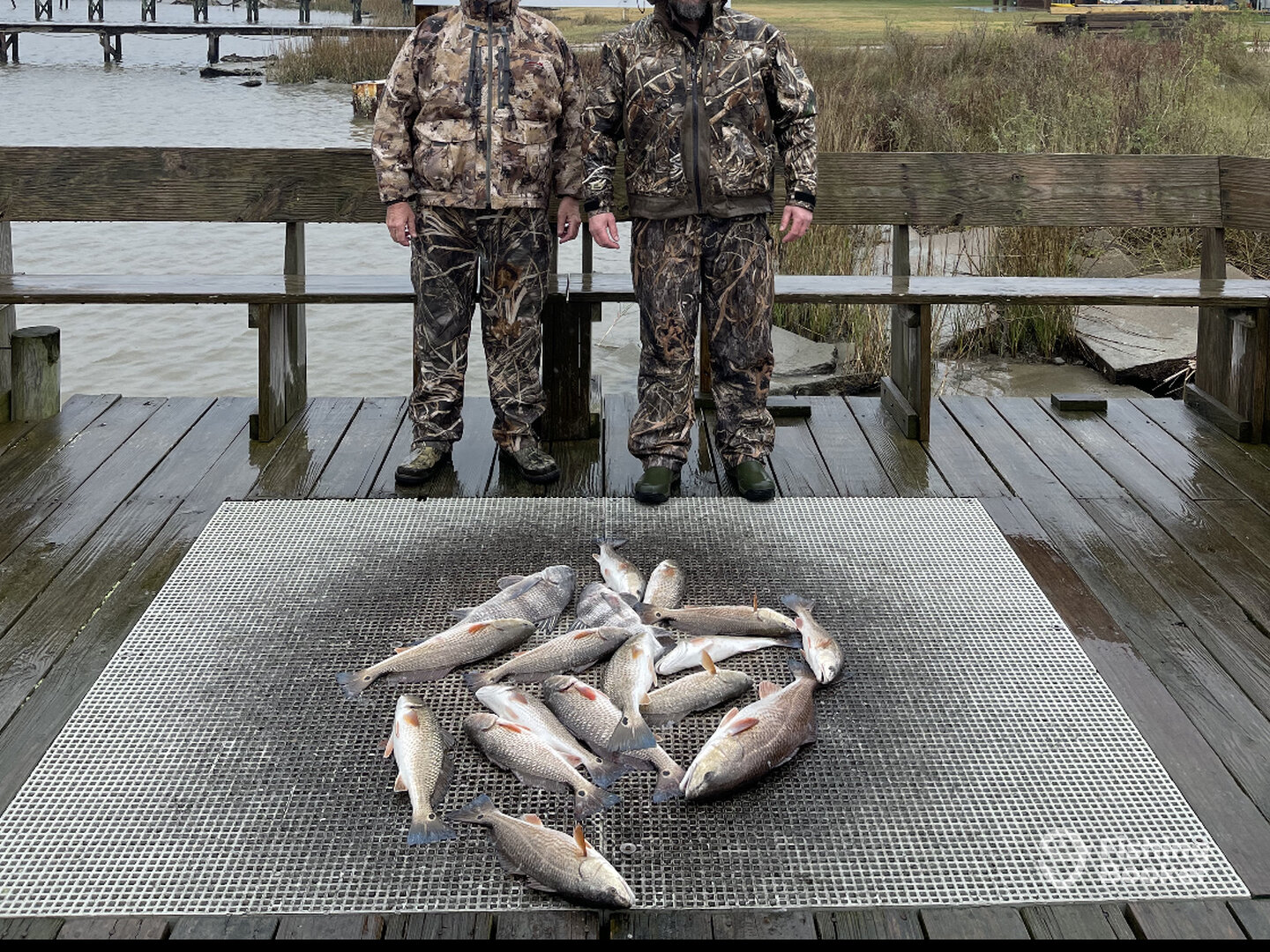 Sulphur Report Photo 0