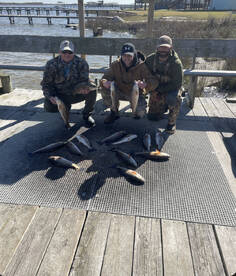 Three man limit of afternoon reds