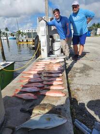 Dania Beach Report Photo 2
