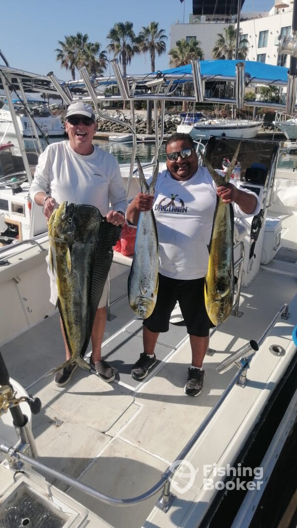 San Jose del Cabo Report Photo 0
